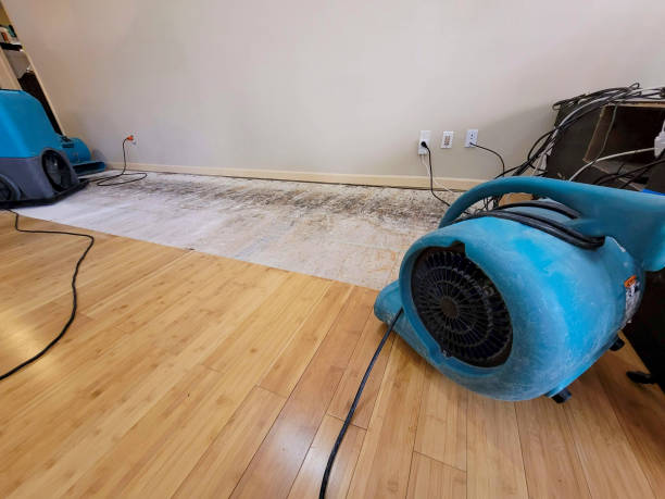Professional Basement Flood Cleanup technician working in Whittaker, MI