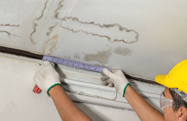 Affordable Basement Flood Cleanup solutions in Whittaker, MI